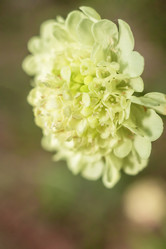 Similar image 11964825