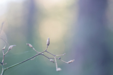 Similar image 11964826