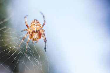 Similar image 11964827