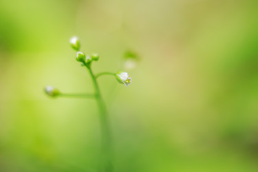 Similar image 11964828