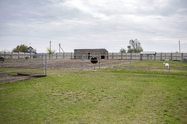 Similar image 11959381