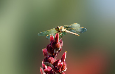 Similar image 11967516