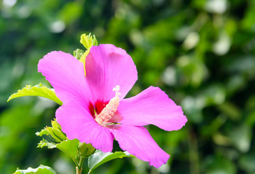 Similar image 11969093