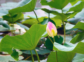 Similar image 11969094