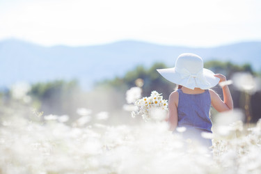 Similar image 11966383