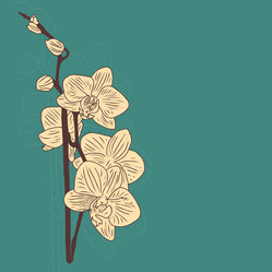 Similar image 11966096