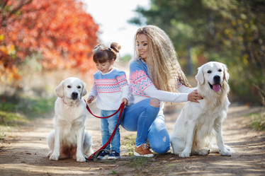 Similar image 11965981