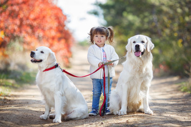 Similar image 11966370