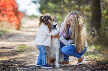 Similar image 11965983