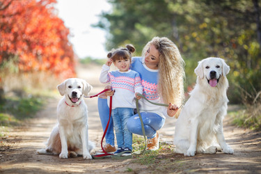 Similar image 11965984