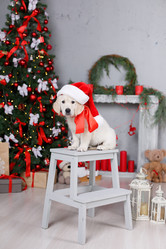 Similar image 11963989