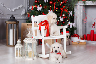 Similar image 11963995