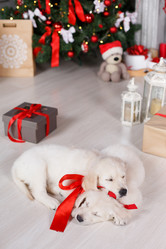 Similar image 11964001