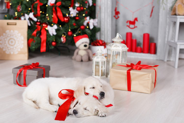 Similar image 11966211