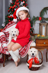 Similar image 11964028