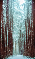 Similar image 11959714