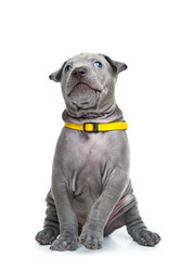 Similar image 11968529