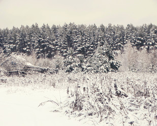 Similar image 12037216