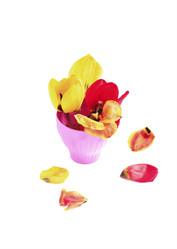 Similar image 11959665