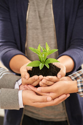 Similar image 11962356