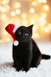 Similar image 11967645