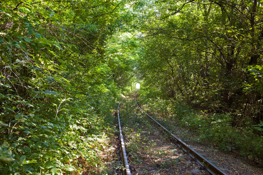 Similar image 11961874