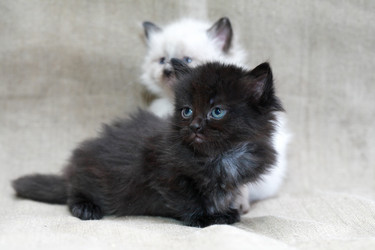 Similar image 11962440