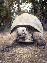 Similar image 12037263