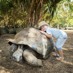 Similar image 12037264