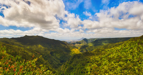 Similar image 12037267