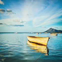 Similar image 12037269