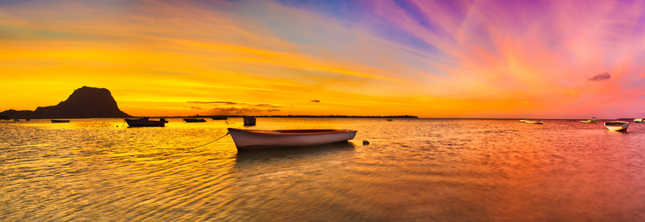 Similar image 12037271