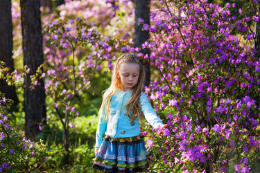 Similar image 12030367