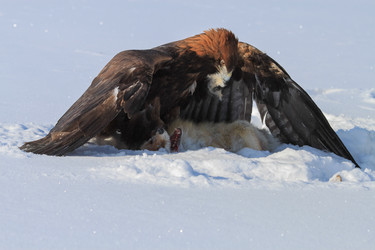 Similar image 11967474