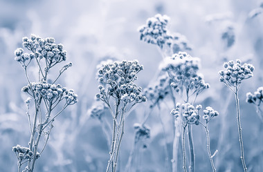 Similar image 11964772