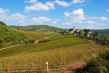 Similar image 11969337