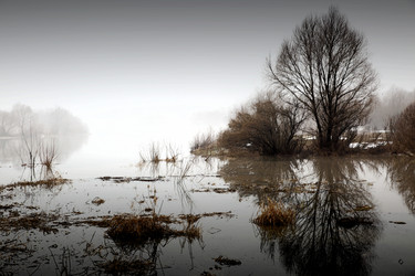 Similar image 11969112