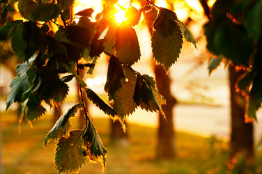 Similar image 11967559