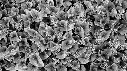 Similar image 11967560