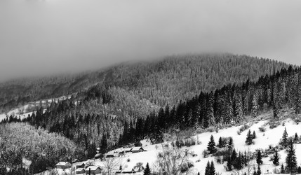 Similar image 12036324