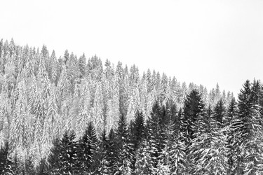 Similar image 12036325