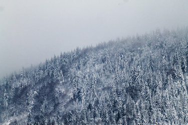 Similar image 12036326