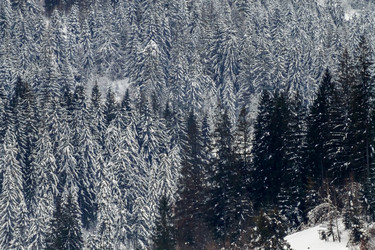 Similar image 12036327