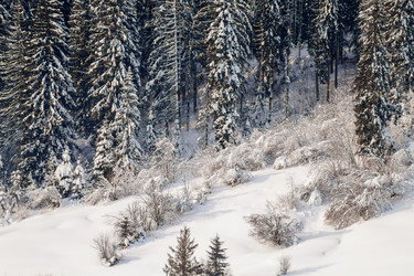 Similar image 12036331