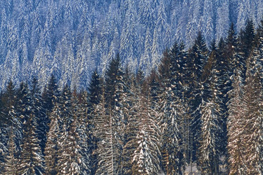 Similar image 12036332