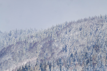 Similar image 12036333