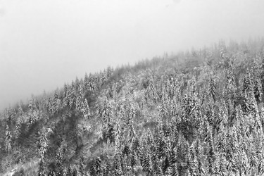 Similar image 12036334