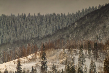 Similar image 12036335