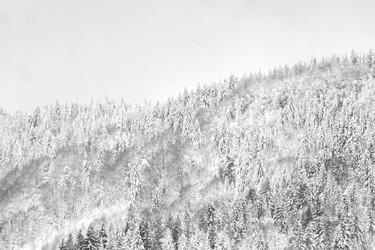 Similar image 12036336