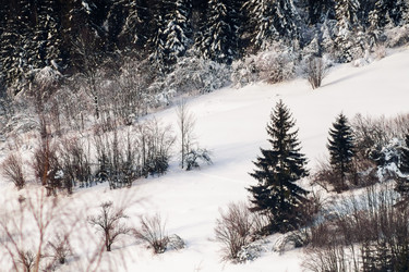 Similar image 12036344